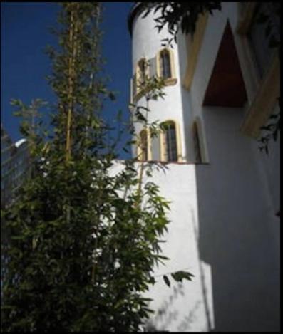 Welcome To Casa Viva Mexico 3-Bedrooms 2-Bathroms 6-Guests Close To Shoping Center & Beach Тихуана Екстериор снимка